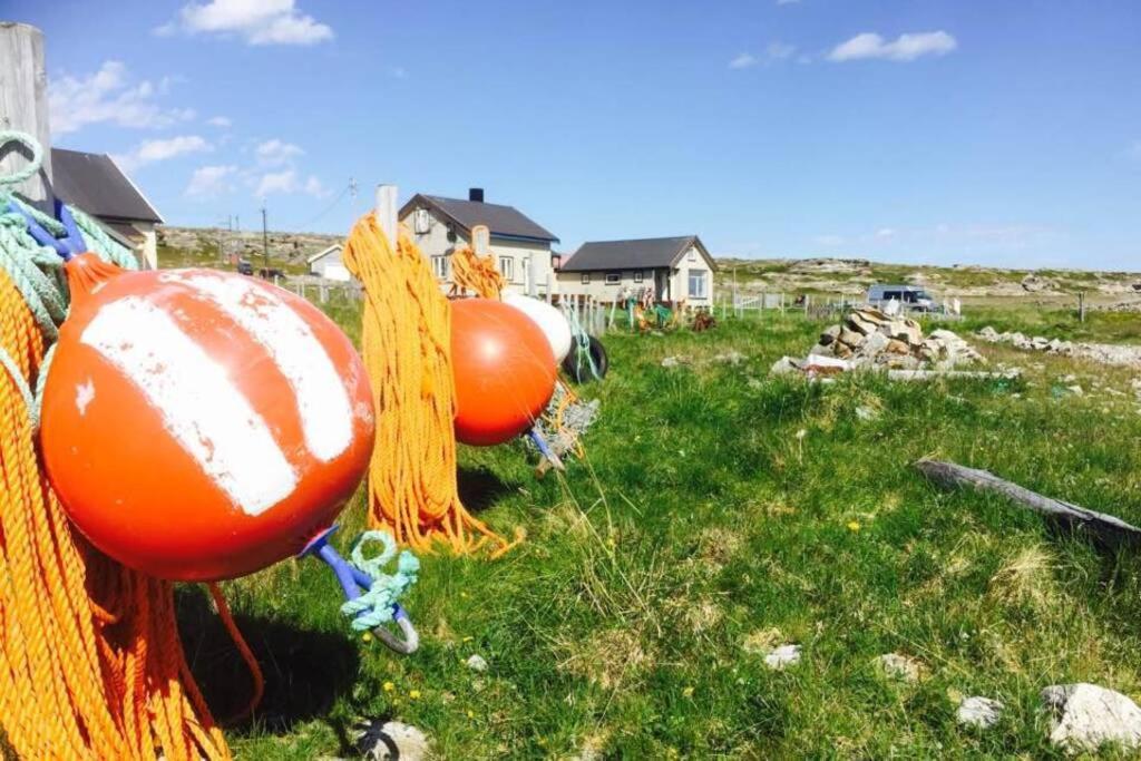 Arctic House By The Sea, Vadso, Varanger מראה חיצוני תמונה